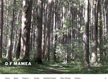 Tablet Screenshot of dfmamea.com